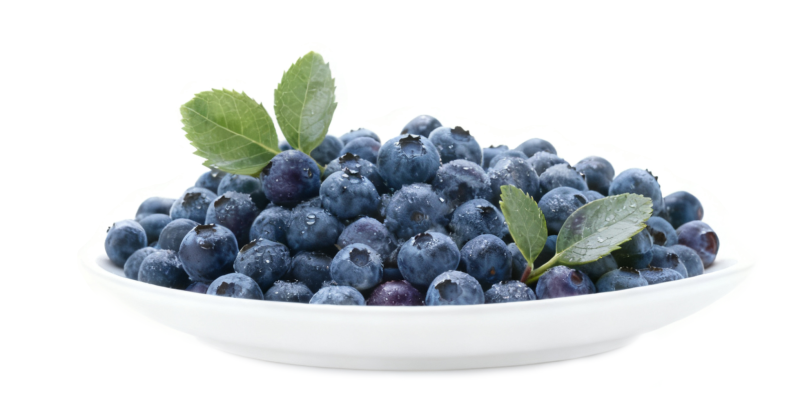 美味的蓝紫色浆果-健蓝膳吾